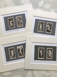 Image 1 of County Cricket Teams c.1938