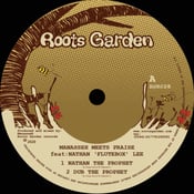 Image of Manasseh Meets Praise - Nathan The Prophet / No More Struggle (Dubwise EP 12" vinyl /digital)
