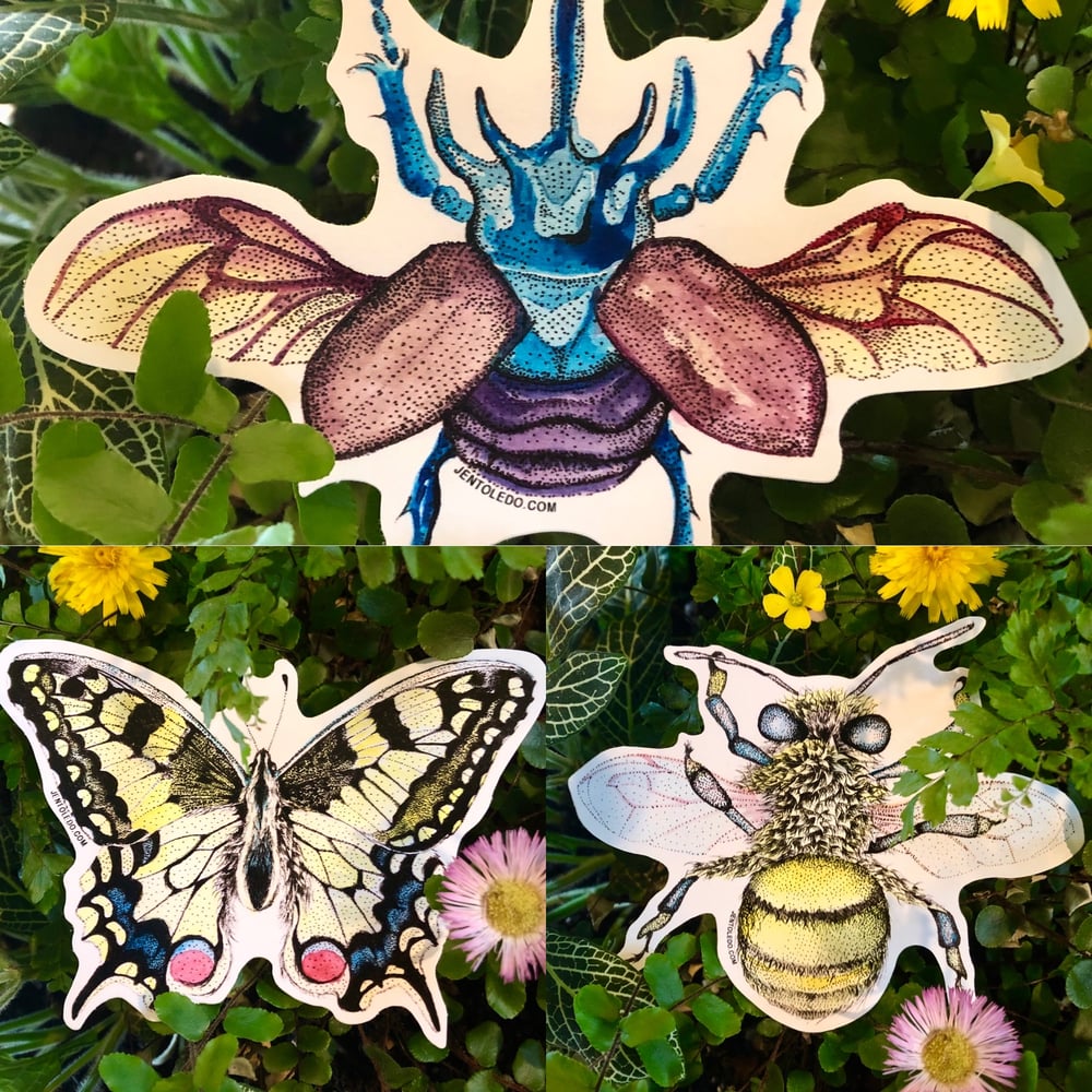 Image of Insect Stickers