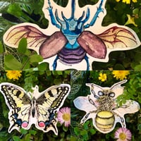 Image 1 of Insect Stickers 🦋 🐝 🐞