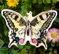 Image 2 of Insect Stickers 🦋 🐝 🐞