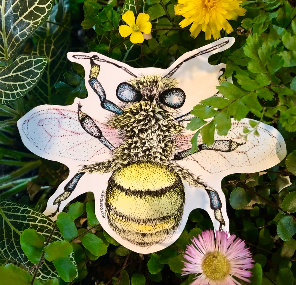 Image of Insect Stickers