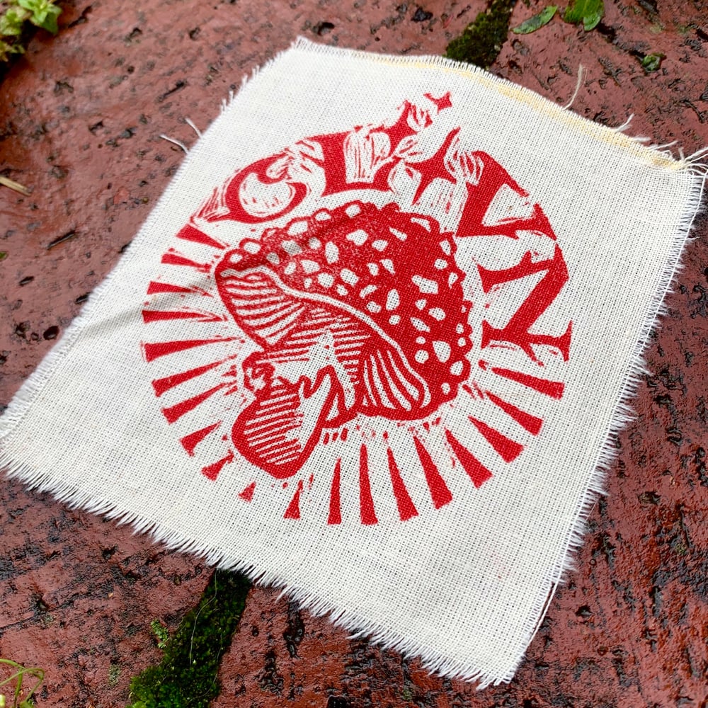 CLVN Patch