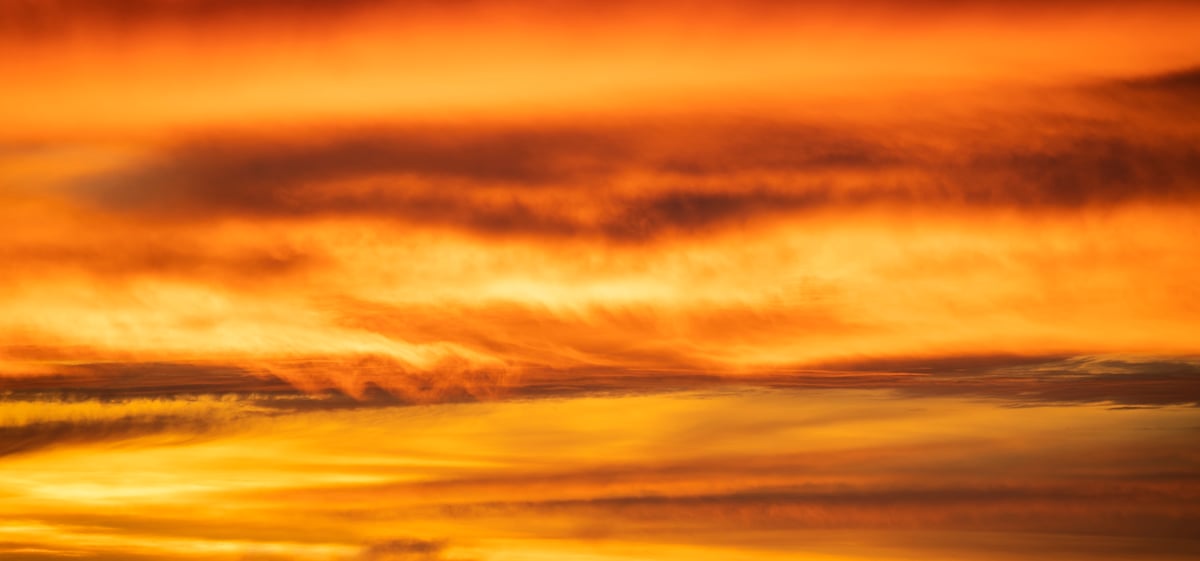 Image of Sky Library Starter Pack