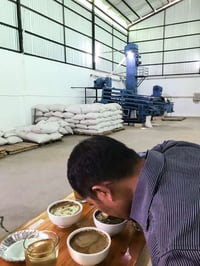 Image 2 of (New) Decaf Cascadia Blend "Fair Trade Organic" "Dark Roast Only"