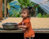 Image 1 of (New) Decaf Cascadia Blend "Fair Trade Organic" "Dark Roast Only"