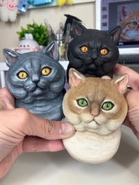 Image 1 of British Shorthair Cat Magnet