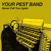 Image of Your Pest Band - Never Fall You Again  7"