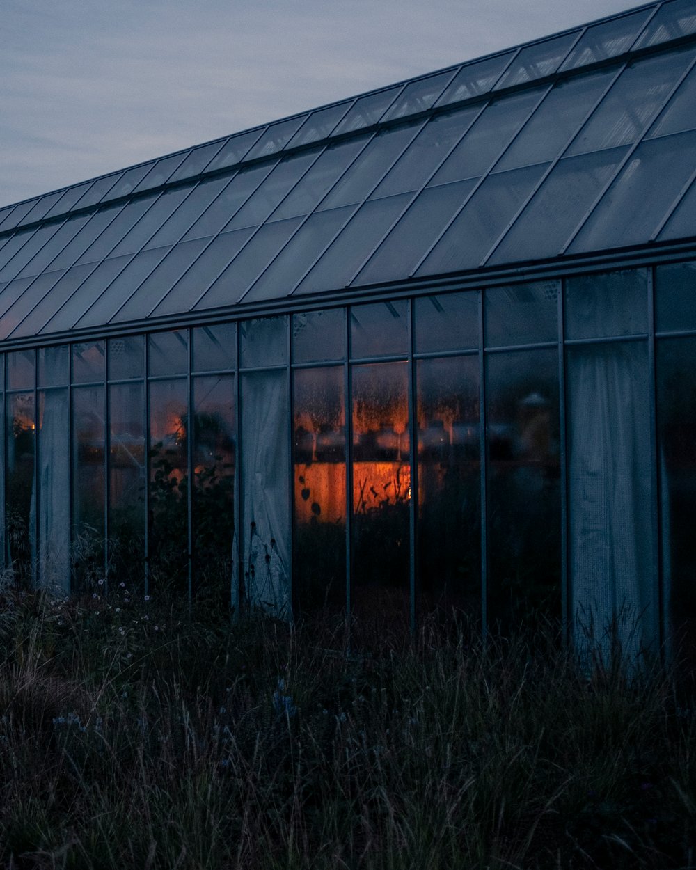 Image of Noma Greenhouse