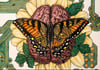Digital Pollination - Mertensian Mimicry (Print) 