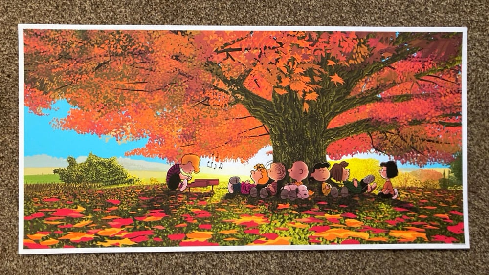 Image of Peanuts AP Summer