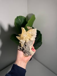 Image 1 of XXL SWEETWATER CALCITE WITH PYRITE -MISSOURI- PORCUPINE POCKET 2025 C
