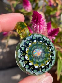 Image 3 of bluegreen queen