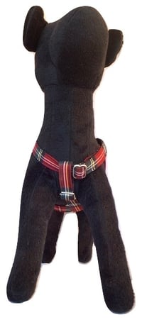 Image 2 of Scottish Tartan - Step-in Harness