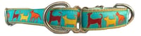 Dog Trail - Martingale Dog Collar