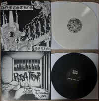 Image 1 of THE DOMESTICS / PIZZATRAMP 'NO LIFE' / 'THIS IS YOUR LIFE' SPLIT 12"