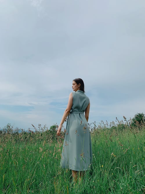 Image of Rozmaring Dress