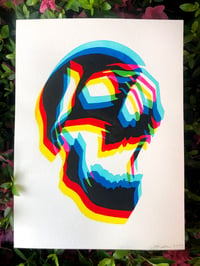 Image 1 of CMYK Skull