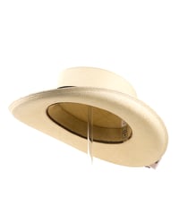 Image 4 of Panama Gambler Natural