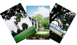 Image of Postcards, "Campus Pride"