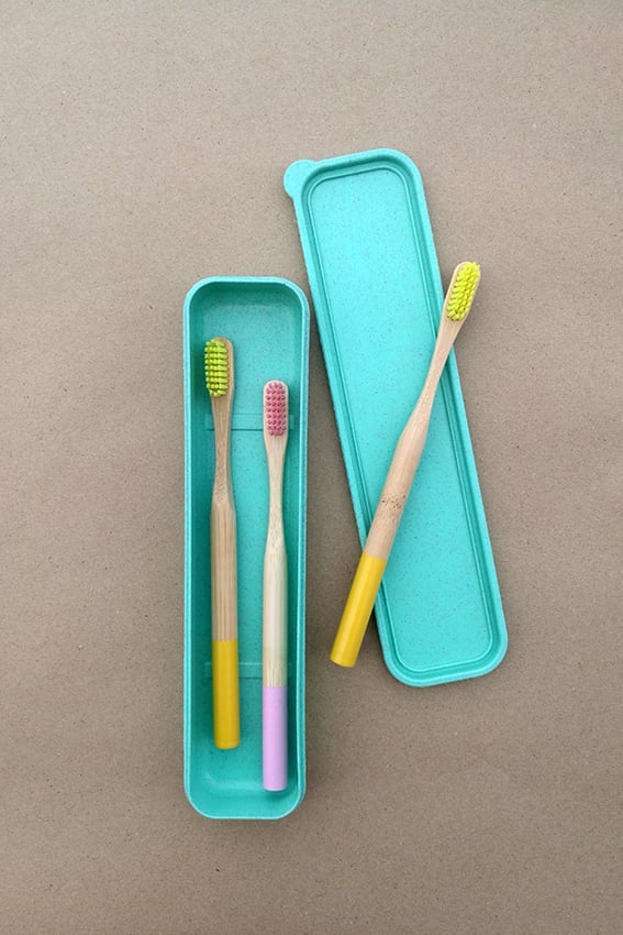 Image of Set of 3 Color Bamboo Toothbrushes (Adult) + Wheat Box