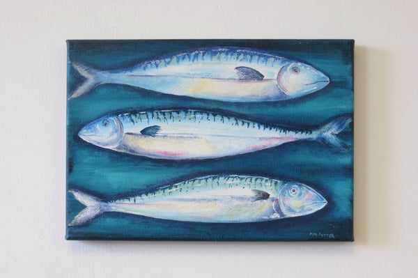 Image of A trio of Mackerel