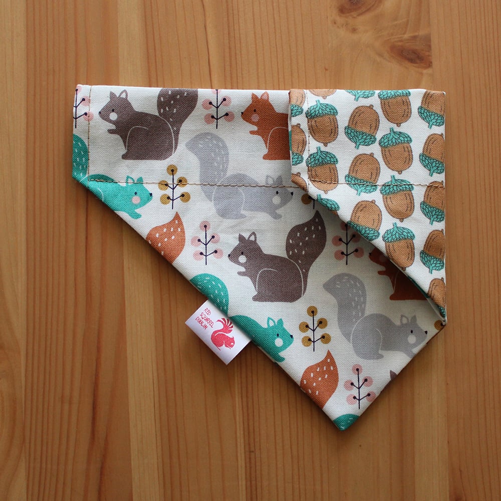 Image of Nuts about squirrels!