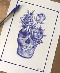 Skull & Roses