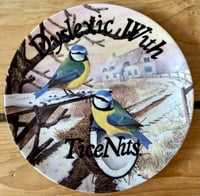 Image 1 of tice nits