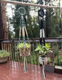Plant Hangers