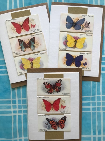 Image of Butterflies