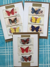 Image 1 of Butterflies