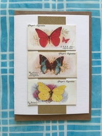 Image 2 of Butterflies