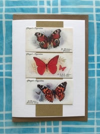Image 4 of Butterflies