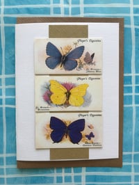 Image 3 of Butterflies