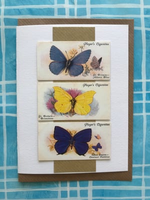 Image of Butterflies