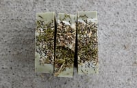 Image 4 of Douglas Fir Soap