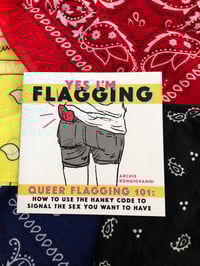 Image 1 of Yes I'm Flagging: Queer Flagging 101 Zine