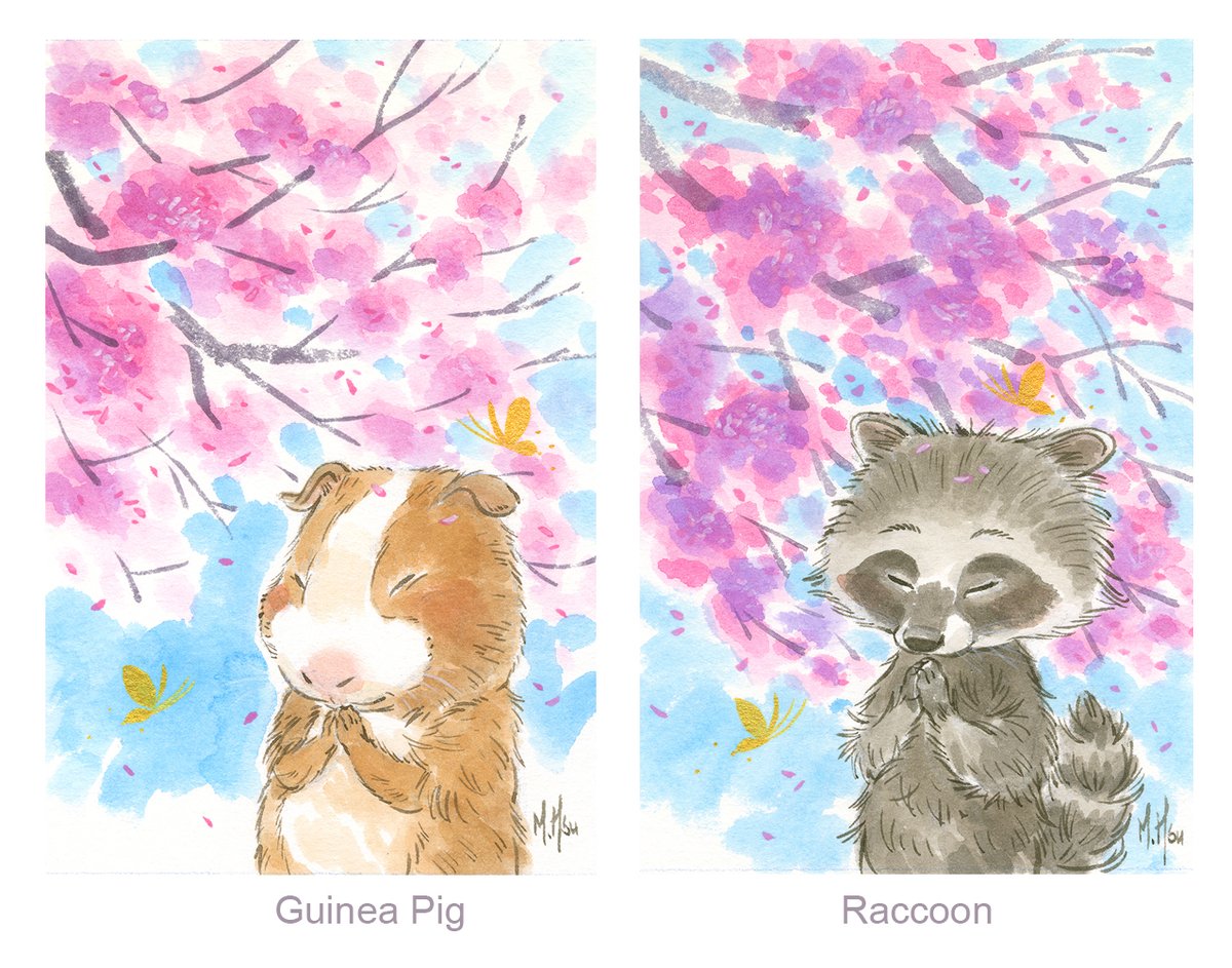 Sakura Wishes - 10-pack Prints