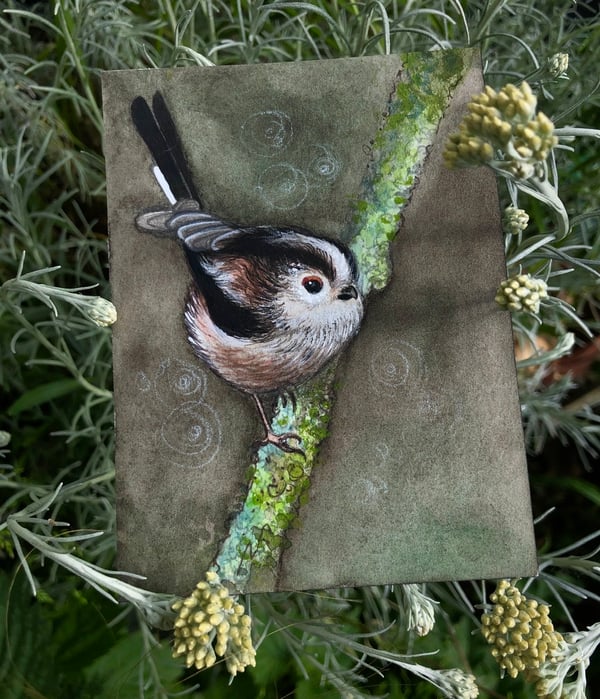 Image of Long-Tailed Tit  