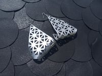 Image 1 of Caged wings earrings