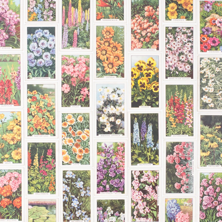 Image of Garden Flower Cigarette Cards - Set of 8