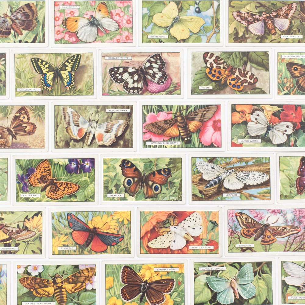 Image of Butterflies & Moths Cigarette Cards - Set of 8