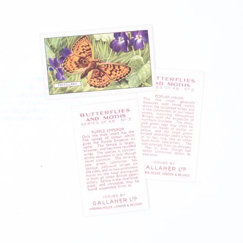 Image of Butterflies & Moths Cigarette Cards - Set of 8