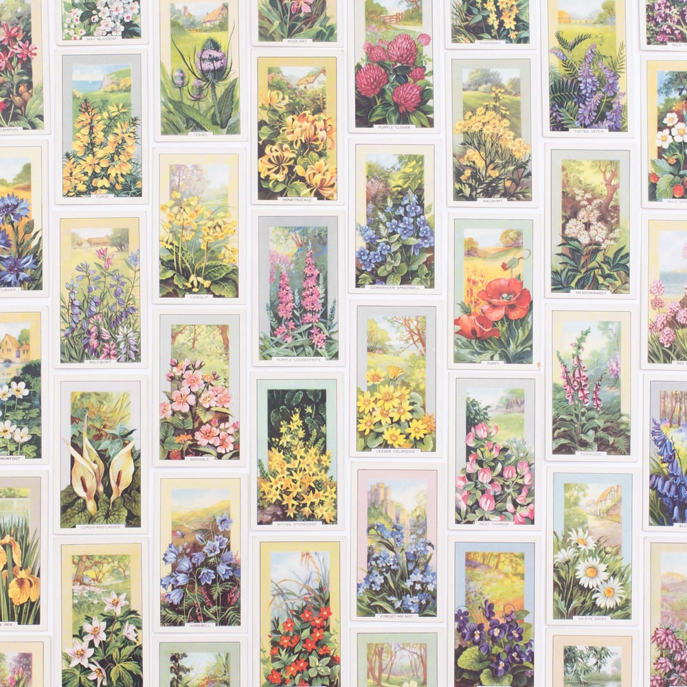 Image of Wild Flowers Cigarette Cards - Set of 8