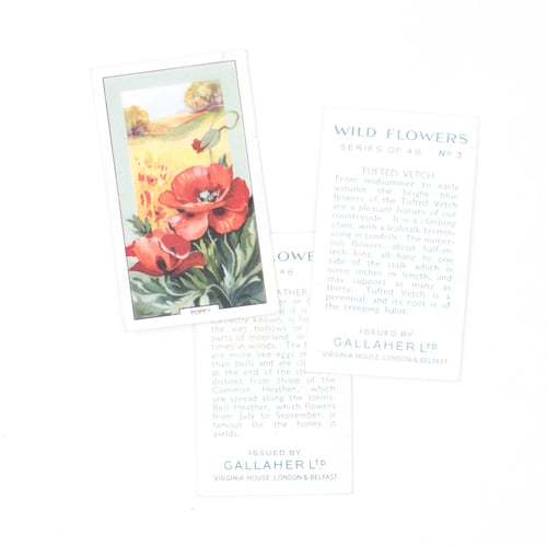 Image of Wild Flowers Cigarette Cards - Set of 8