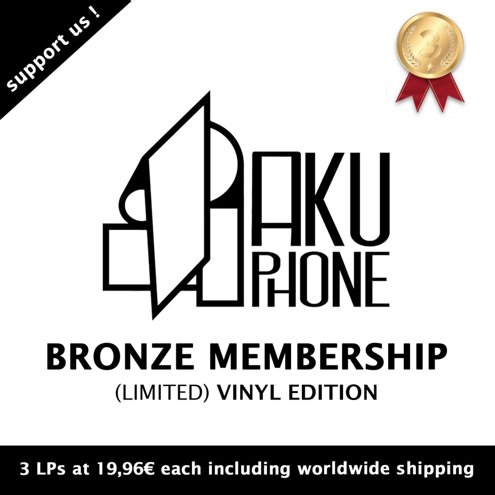 Image of 🥉 Bronze Membership (3 Vinyls)