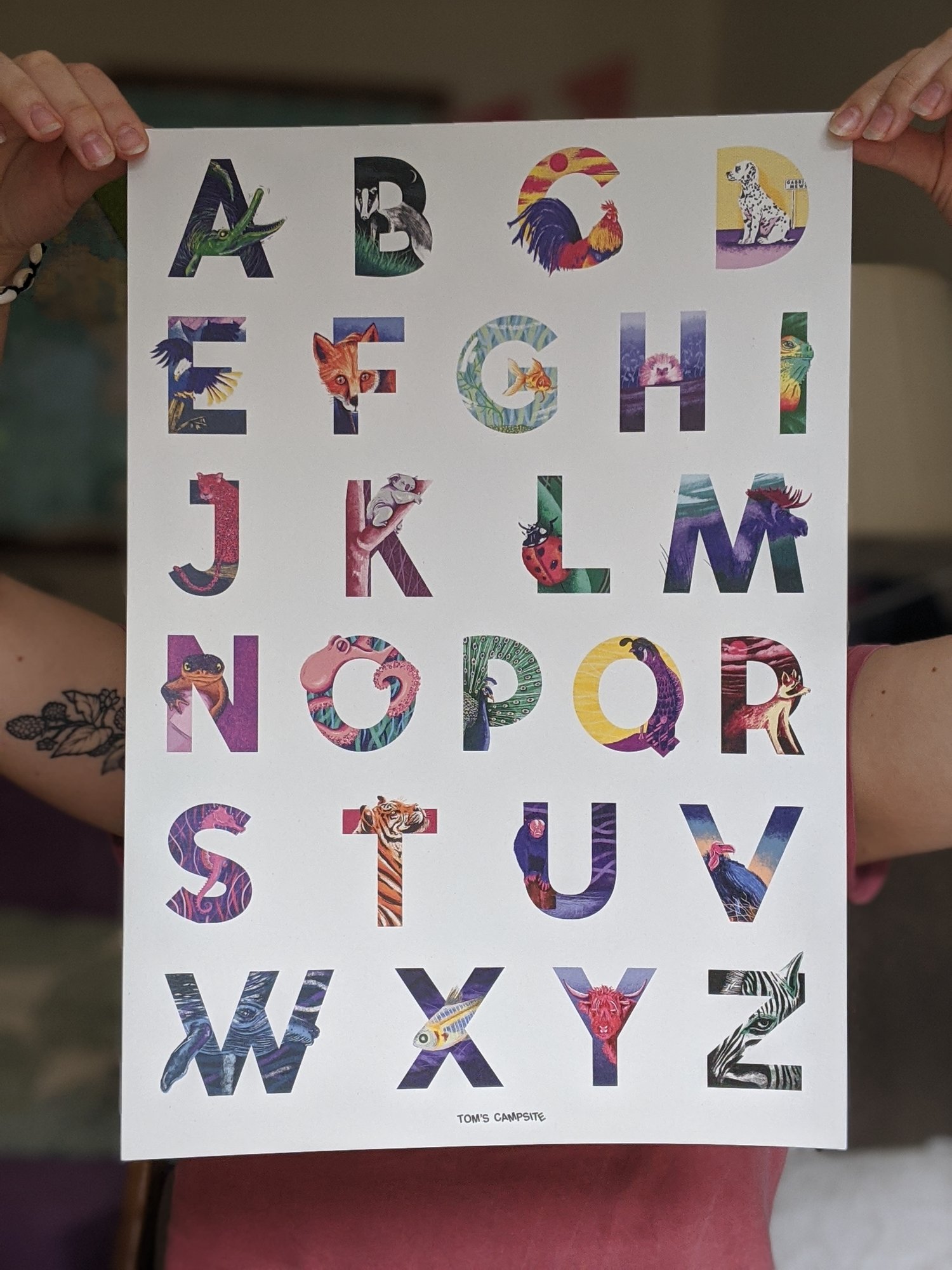 Image of An wildlife illustrated alphabet