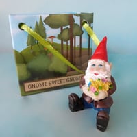 Image 2 of Gnome in a Bag