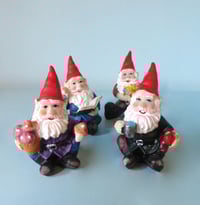 Image 1 of Gnome in a Bag